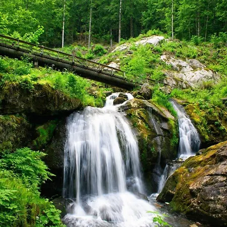 Freiraum Panorama-appartement Mit Pool & Sauna Apartment Schonach im Schwarzwald