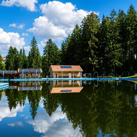 Apartamento Freiraum Panorama-appartement In Top-lage Mit Pool & Sauna, Tennis Schonach im Schwarzwald